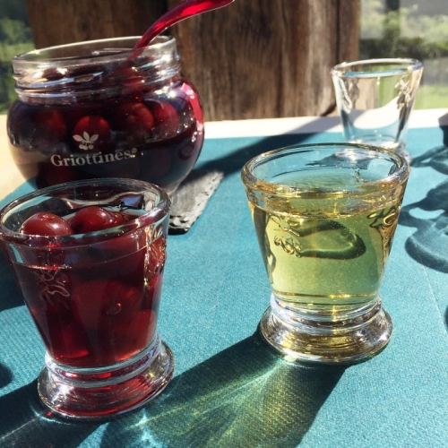 Pszczoła kieliszek shot 60ml